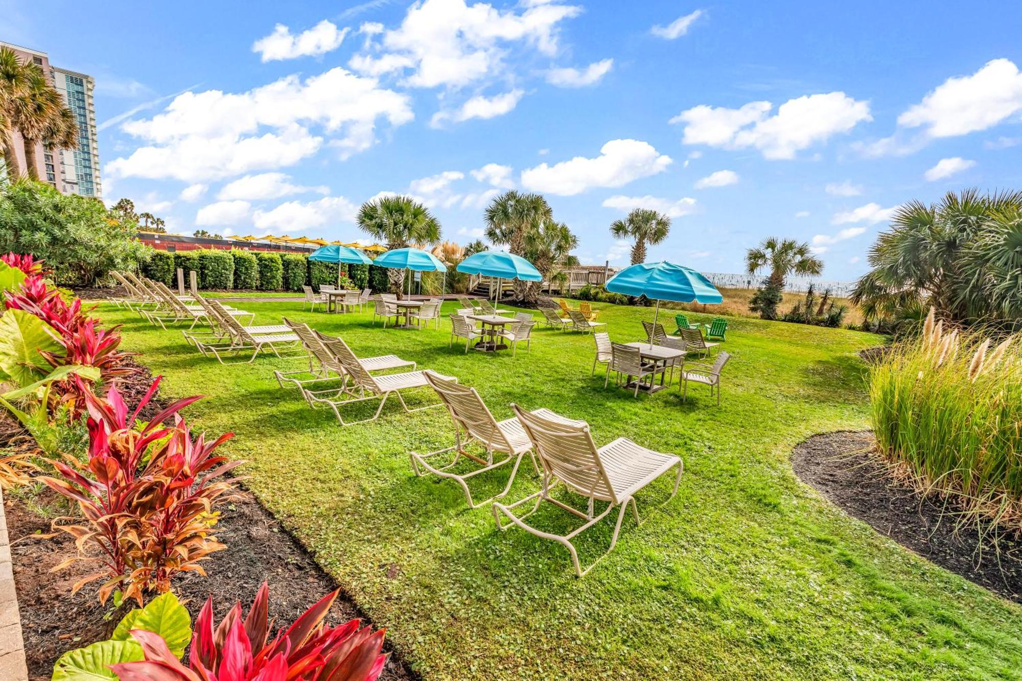 Ocean View Double Suite! Sleeps 4 Meridian Plaza 705 Миртл-Бич Экстерьер фото